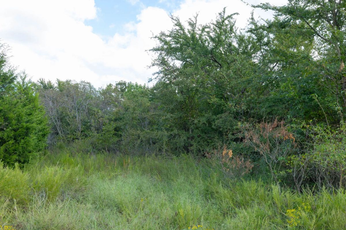 Decorative background for Reserves At Cattail Cove Phase II Tract 93 image 10