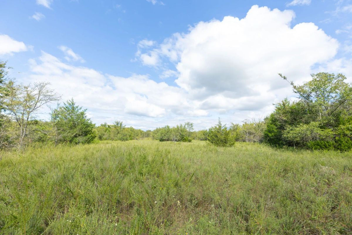 Decorative background for Reserves At Cattail Cove Phase II Tract 93 image 11