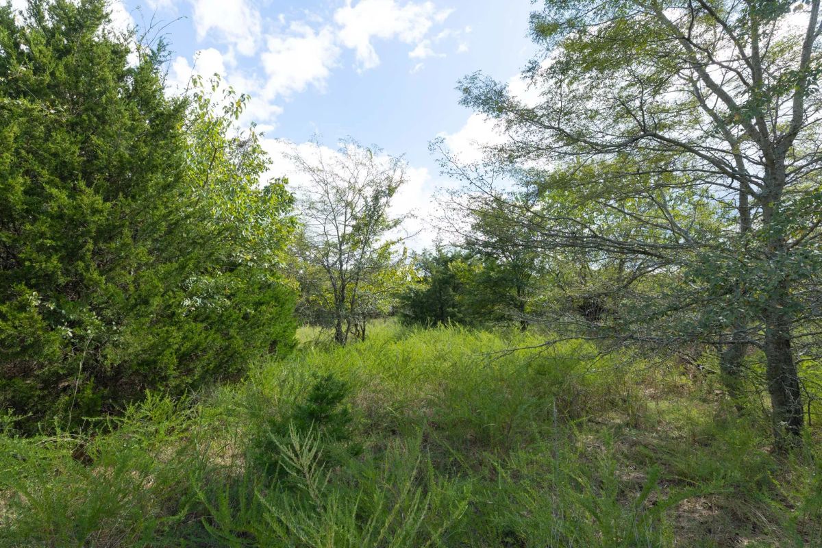 Decorative background for Reserves At Cattail Cove Phase II Tract 93 image 12