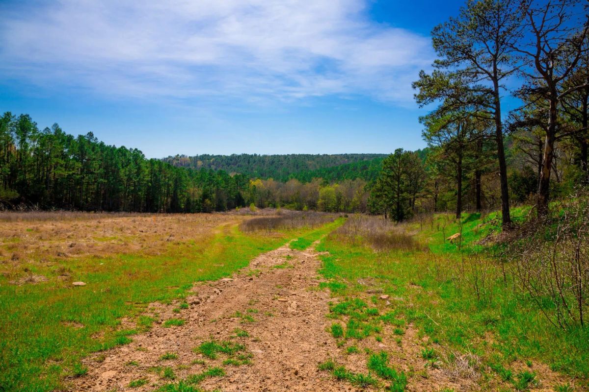 Stone Creek Phase II Tract 226 - Main image