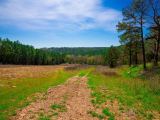 Stone Creek Phase II Tract 226