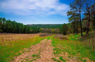 Stone Creek Phase II Tract 226