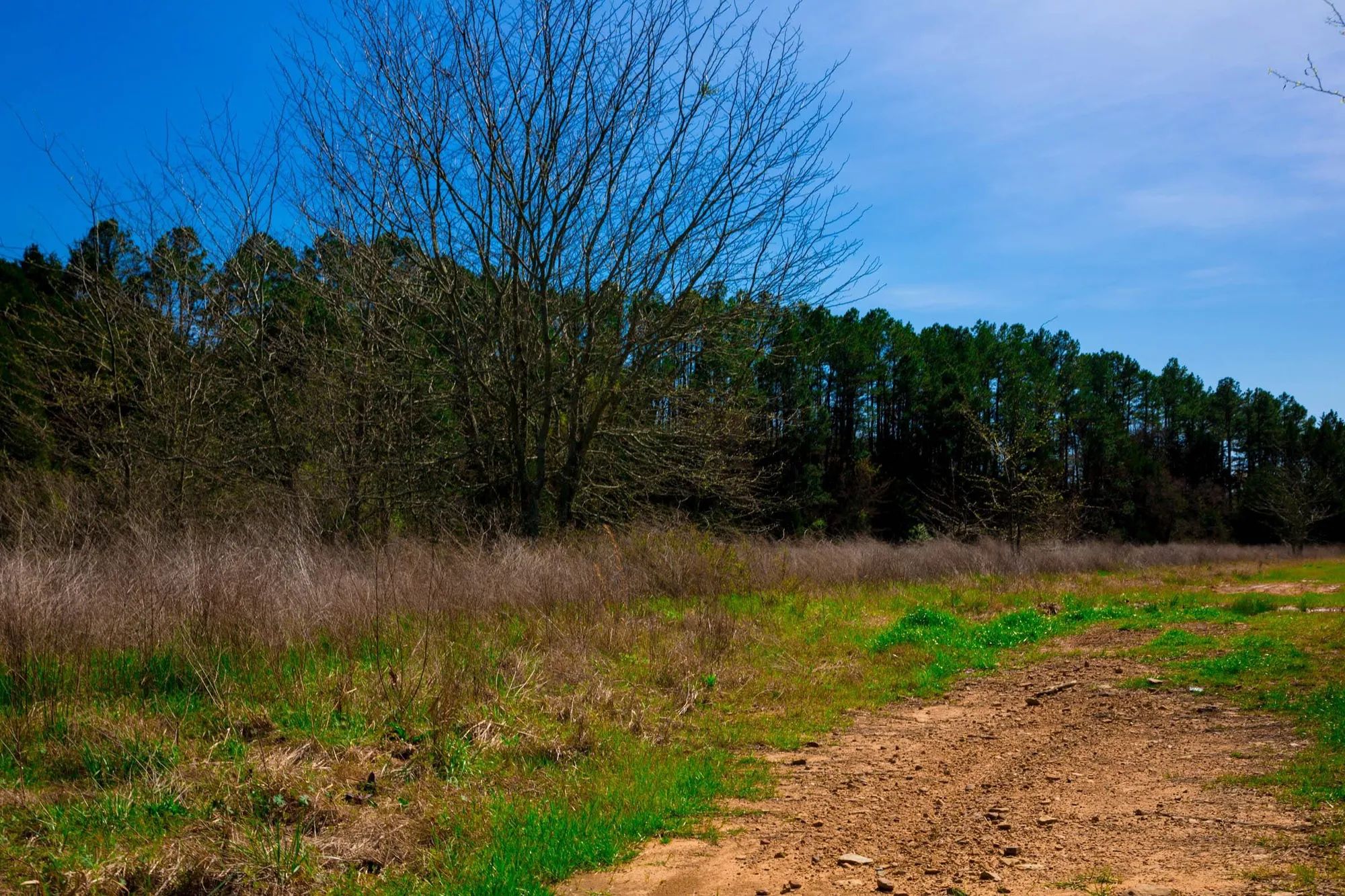 Stone Creek Phase II Tract 226 in Latimer County, OK