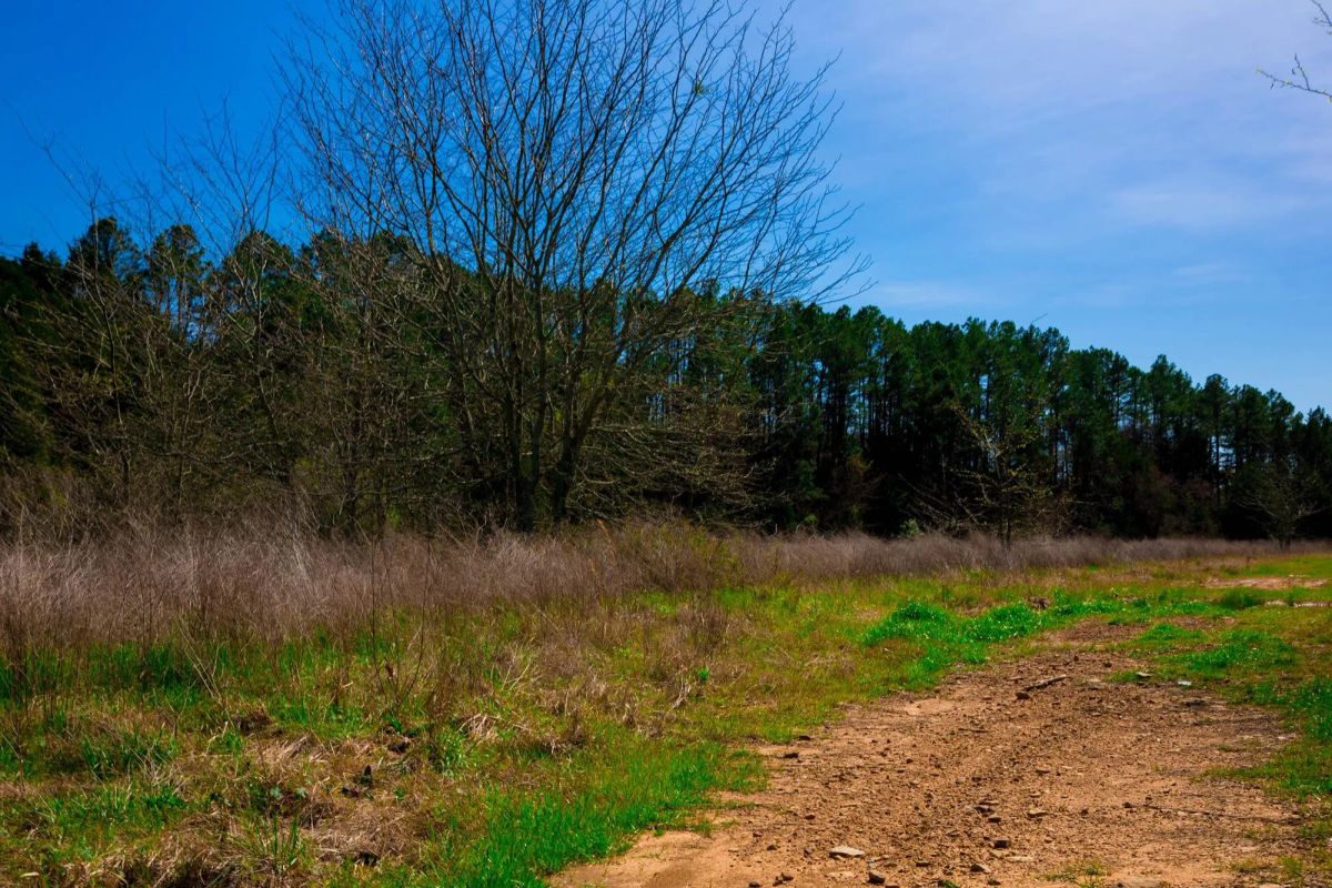 Stone Creek Phase II Tract 226 - Image 4