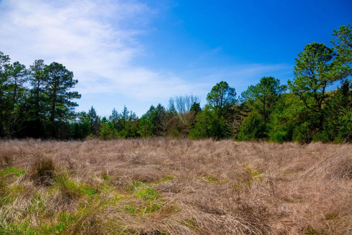 Decorative background for Stone Creek Phase II Tract 226 image 5