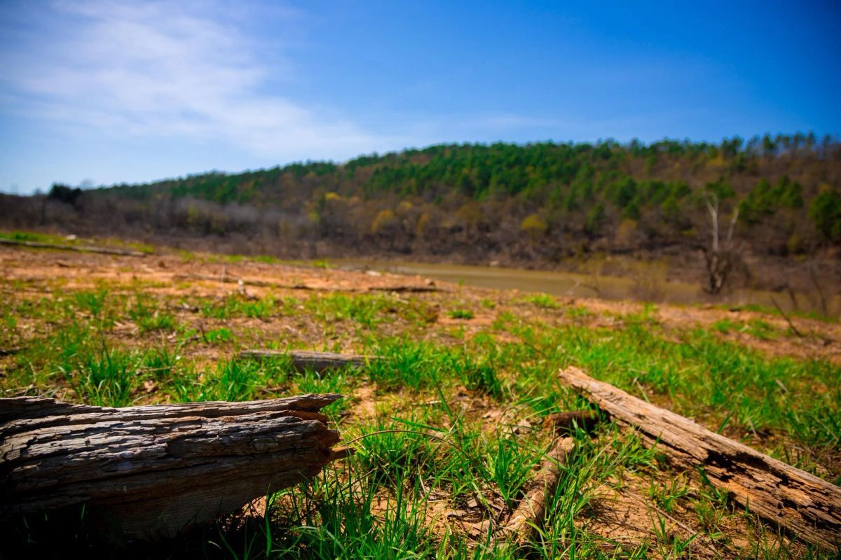 Decorative background for Stone Creek Phase II Tract 226 image 6