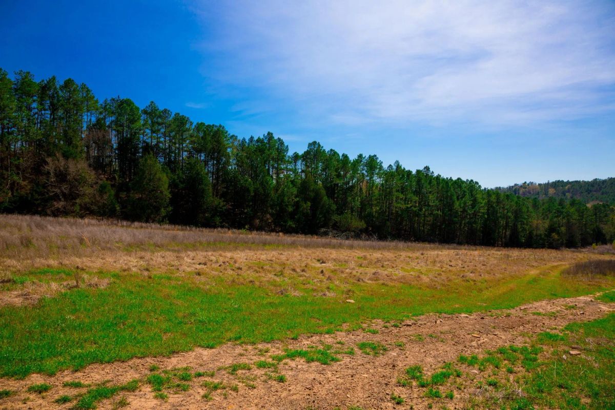Decorative background for Stone Creek Phase II Tract 226 image 7