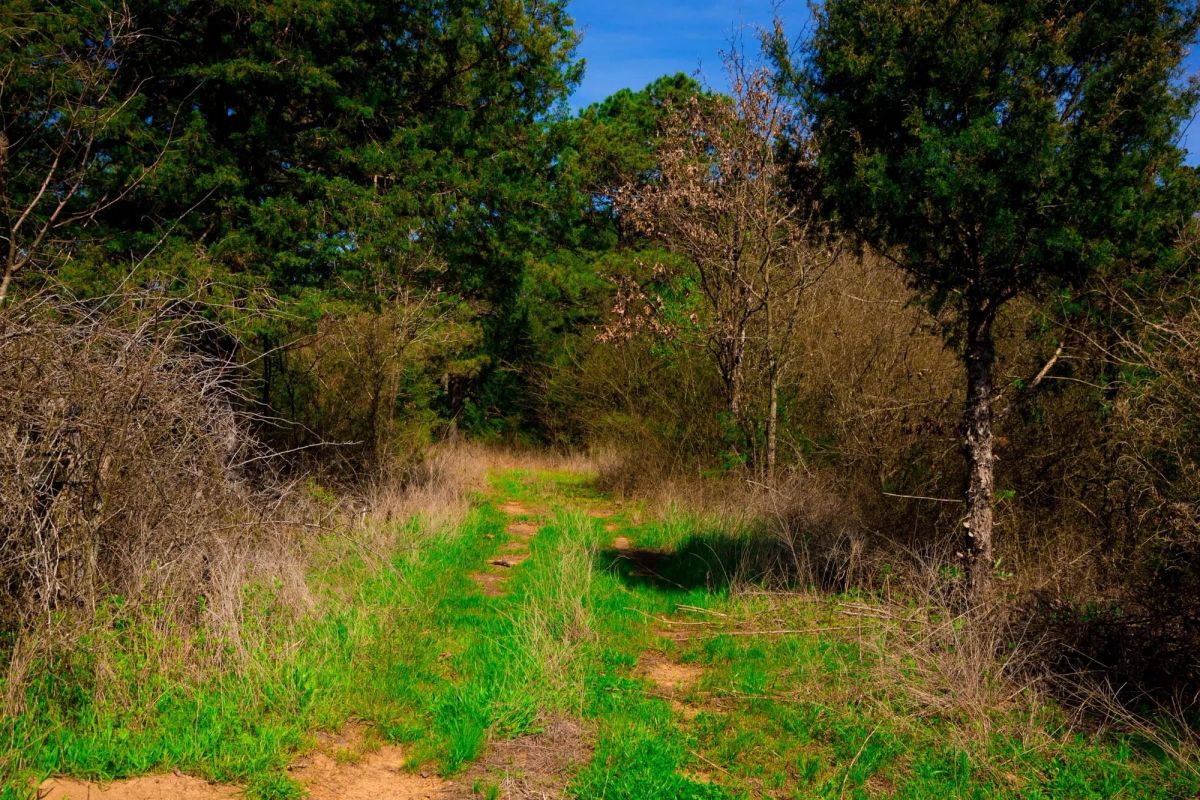 Decorative background for Stone Creek Phase II Tract 226 image 9
