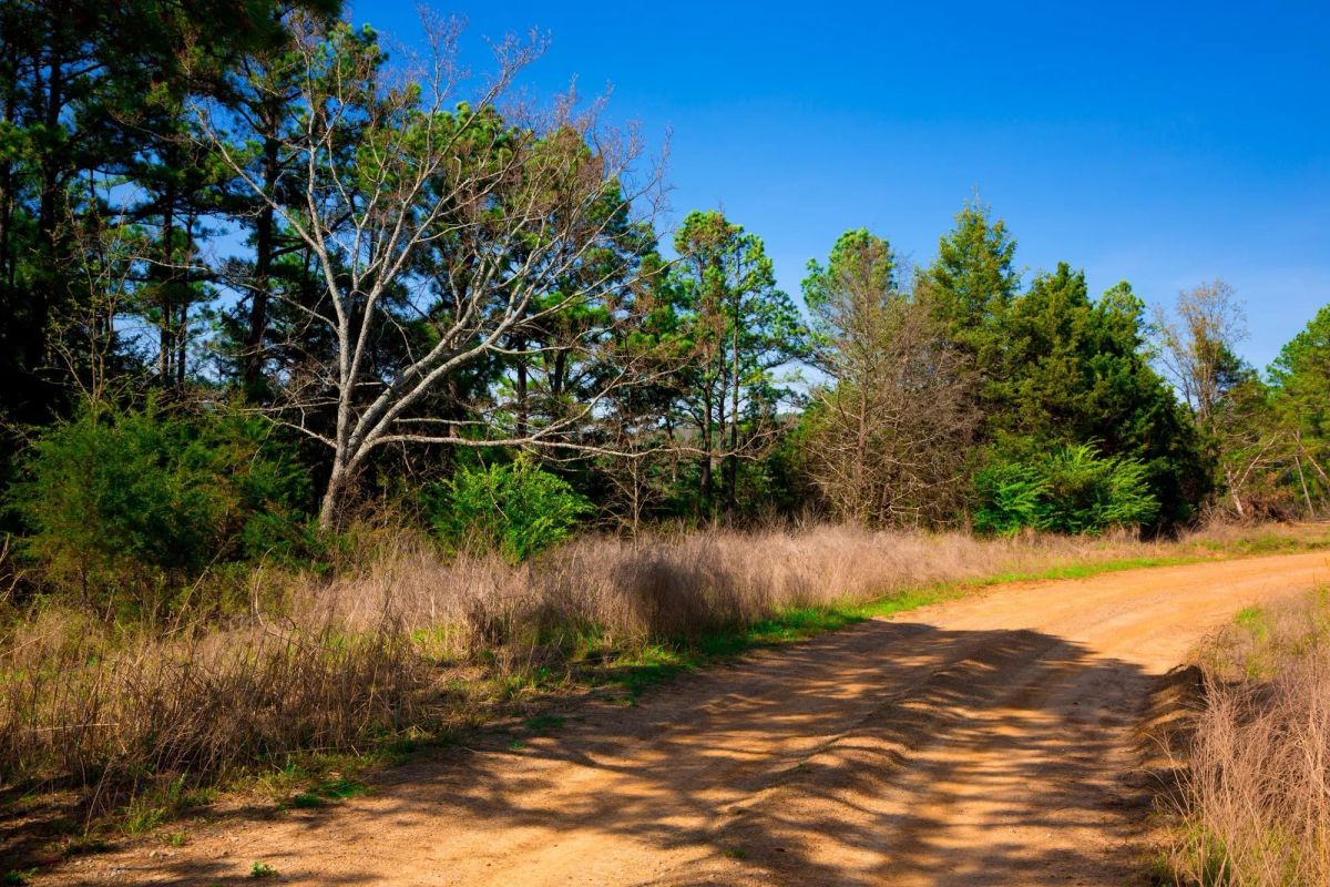 Decorative background for Stone Creek Phase II Tract 226 image 10