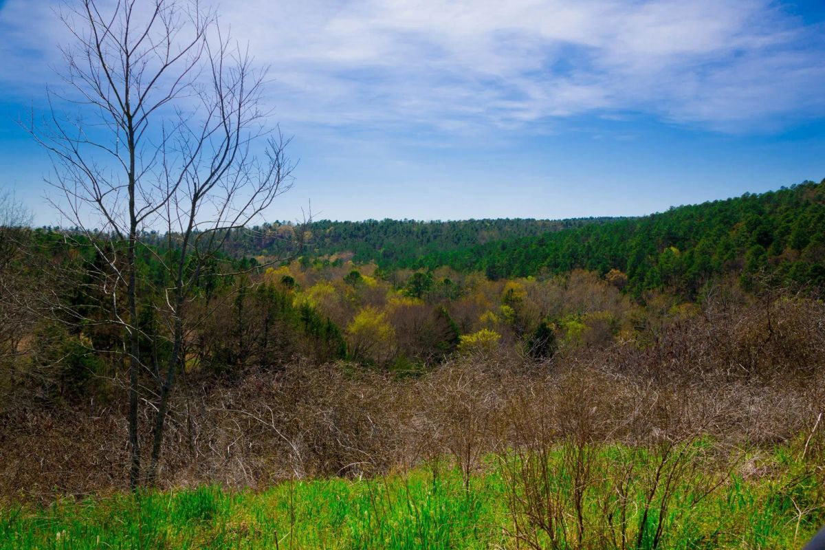 Decorative background for Stone Creek Phase II Tract 226 image 12