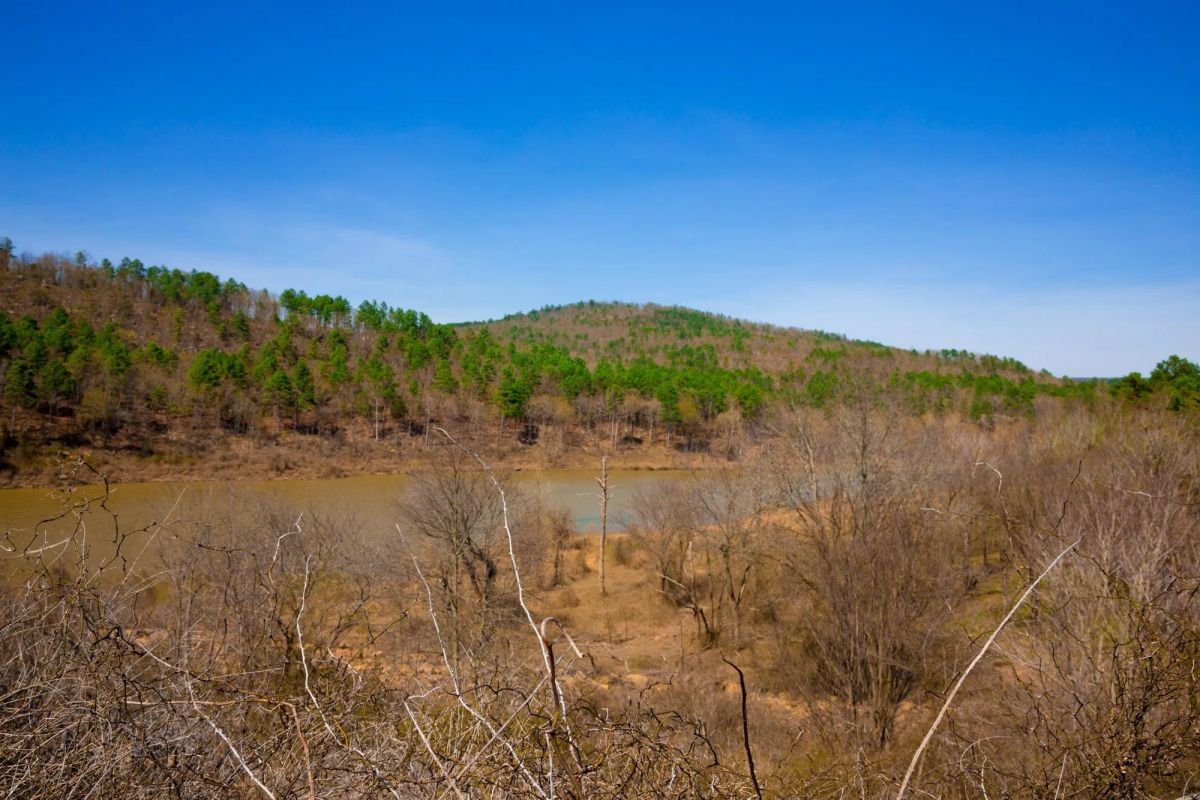 Decorative background for Stone Creek Phase II Tract 226 image 13