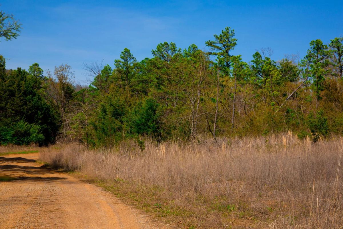 Decorative background for Stone Creek Phase II Tract 226 image 15