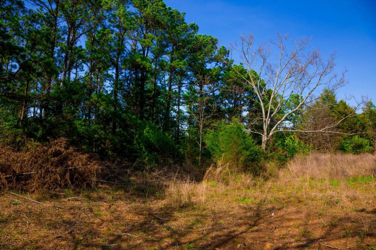 Decorative background for Stone Creek Phase II Tract 226 image 17