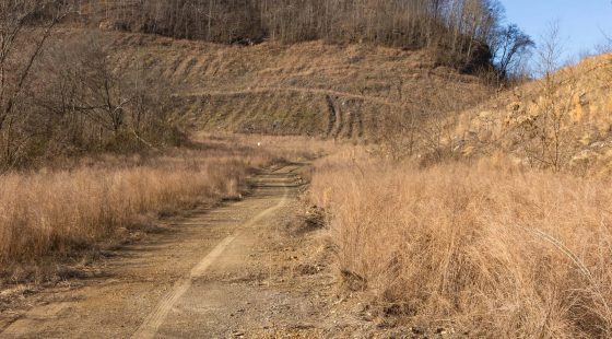 Jade Pass Tract 12 in Whitley County, KY