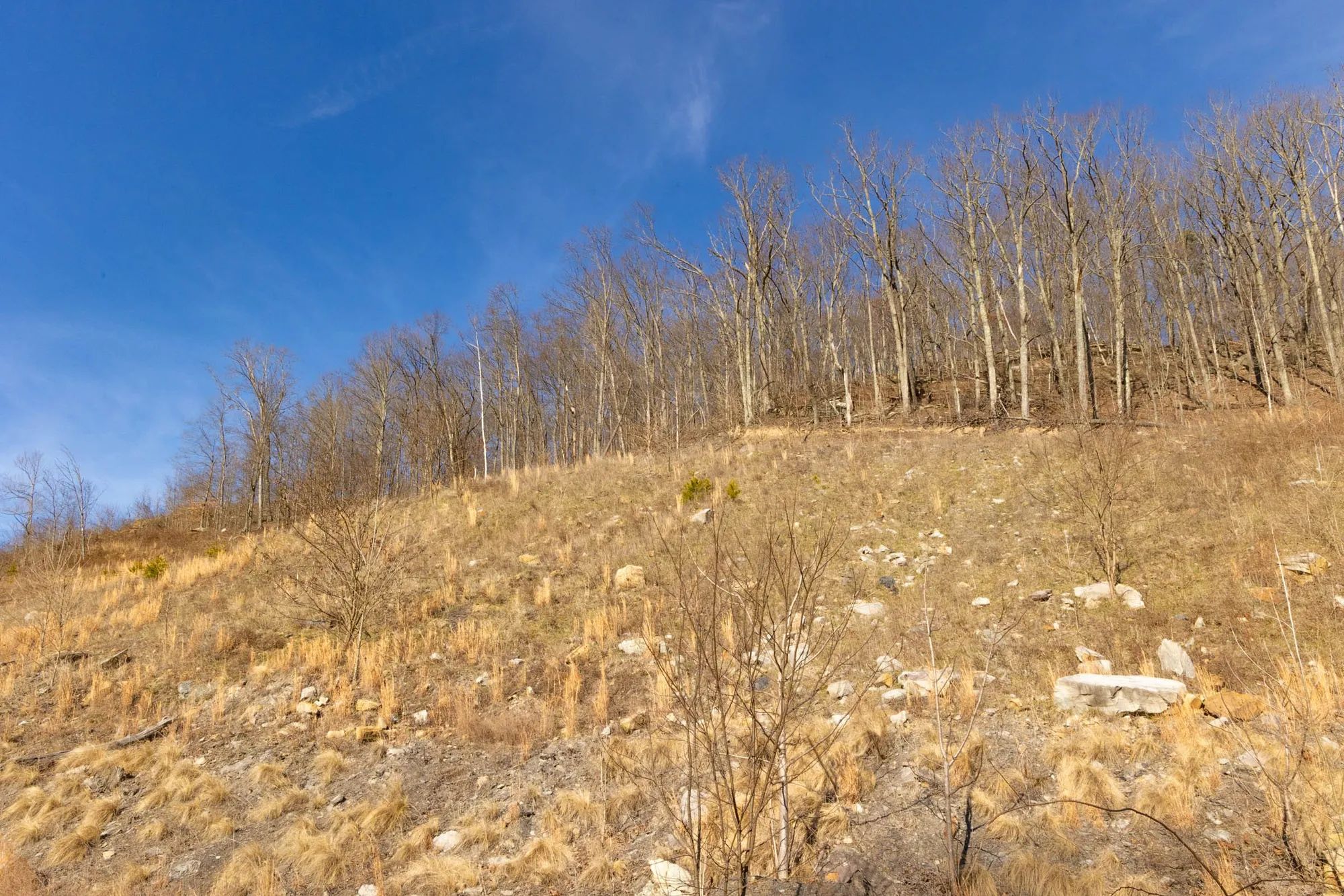 Jade Pass Tract 12 in Whitley County, KY