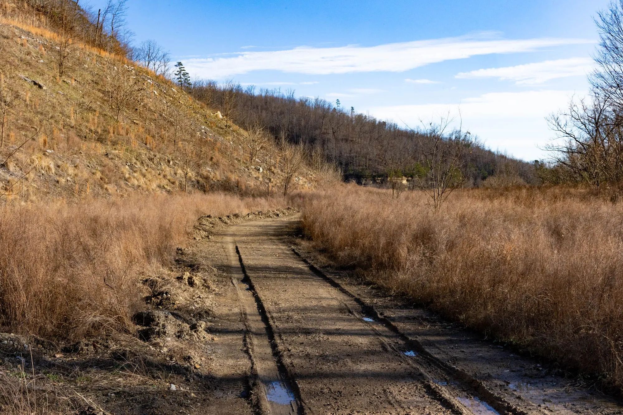 Jade Pass Tract 12 in Whitley County, KY