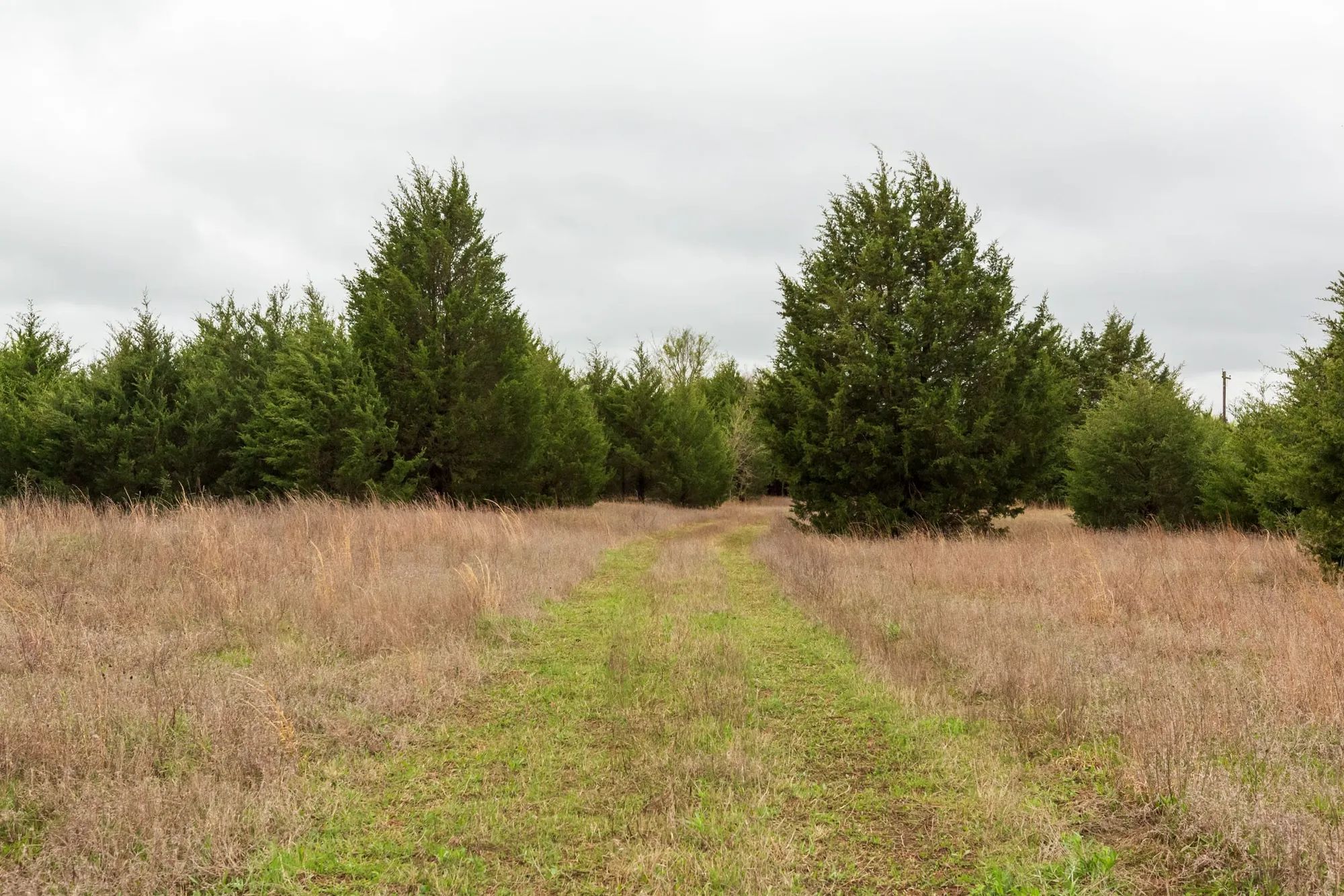 Moonrise Meadows Tract 1 in Okfuskee County, OK