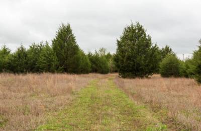 Moonrise Meadows Tract 1