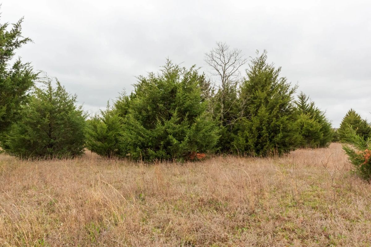 Moonrise Meadows Tract 1 - Image 4