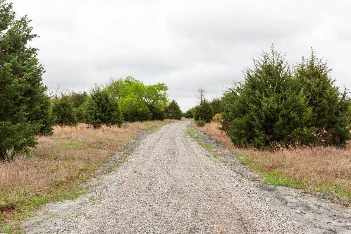 Decorative background for Moonrise Meadows Tract 1 image 5