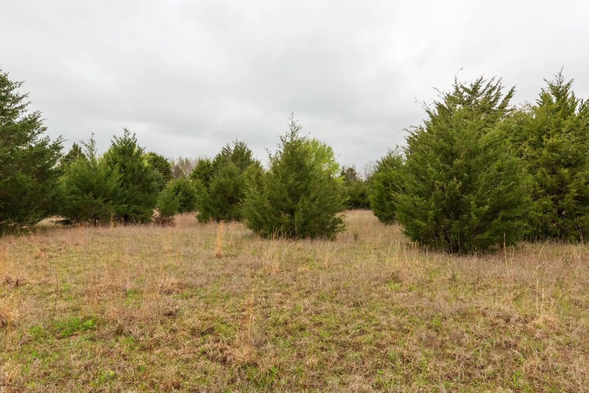Decorative background for Moonrise Meadows Tract 1 image 6
