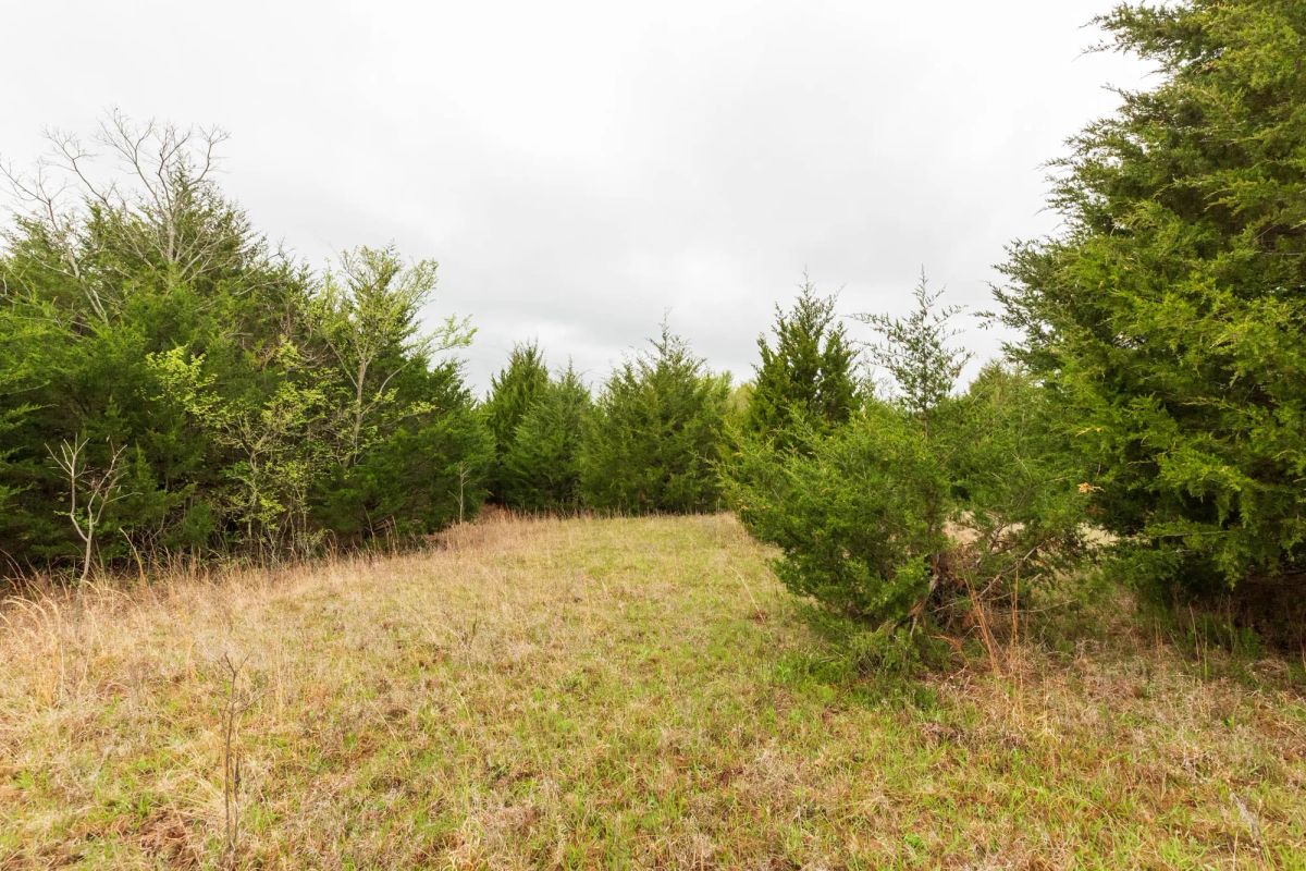 Decorative background for Moonrise Meadows Tract 1 image 8