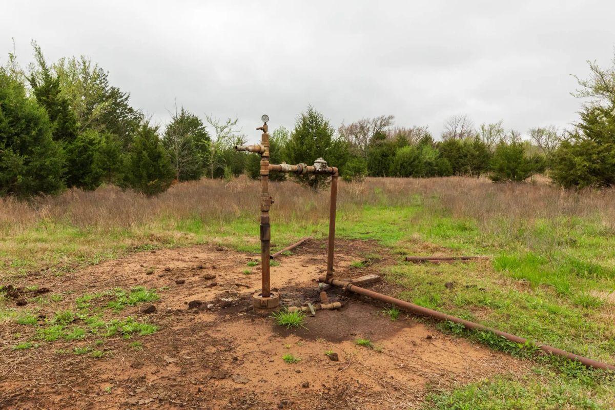 Decorative background for Moonrise Meadows Tract 1 image 9