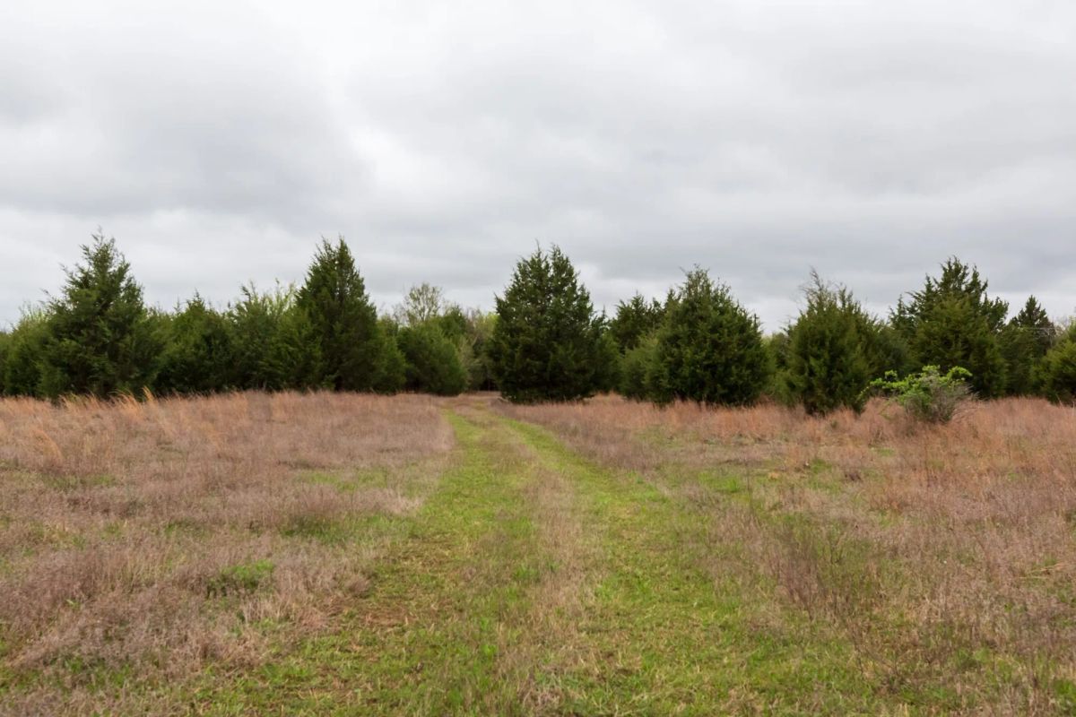 Decorative background for Moonrise Meadows Tract 1 image 10