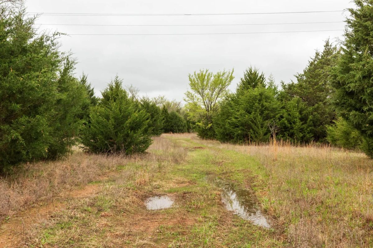Decorative background for Moonrise Meadows Tract 1 image 16