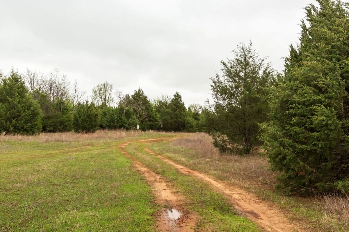 Decorative background for Moonrise Meadows Tract 1 image 18