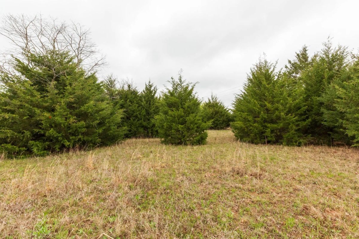 Decorative background for Moonrise Meadows Tract 1 image 19