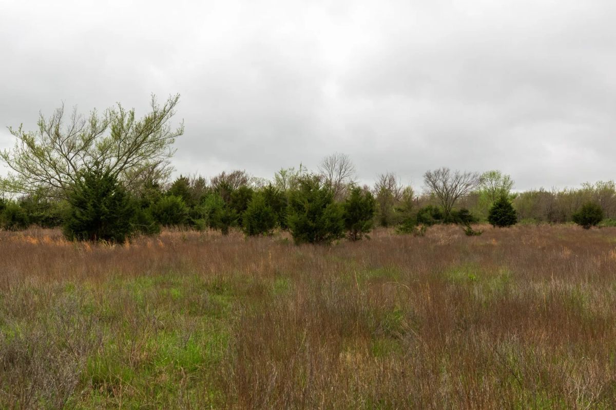 Decorative background for Moonrise Meadows Tract 1 image 24