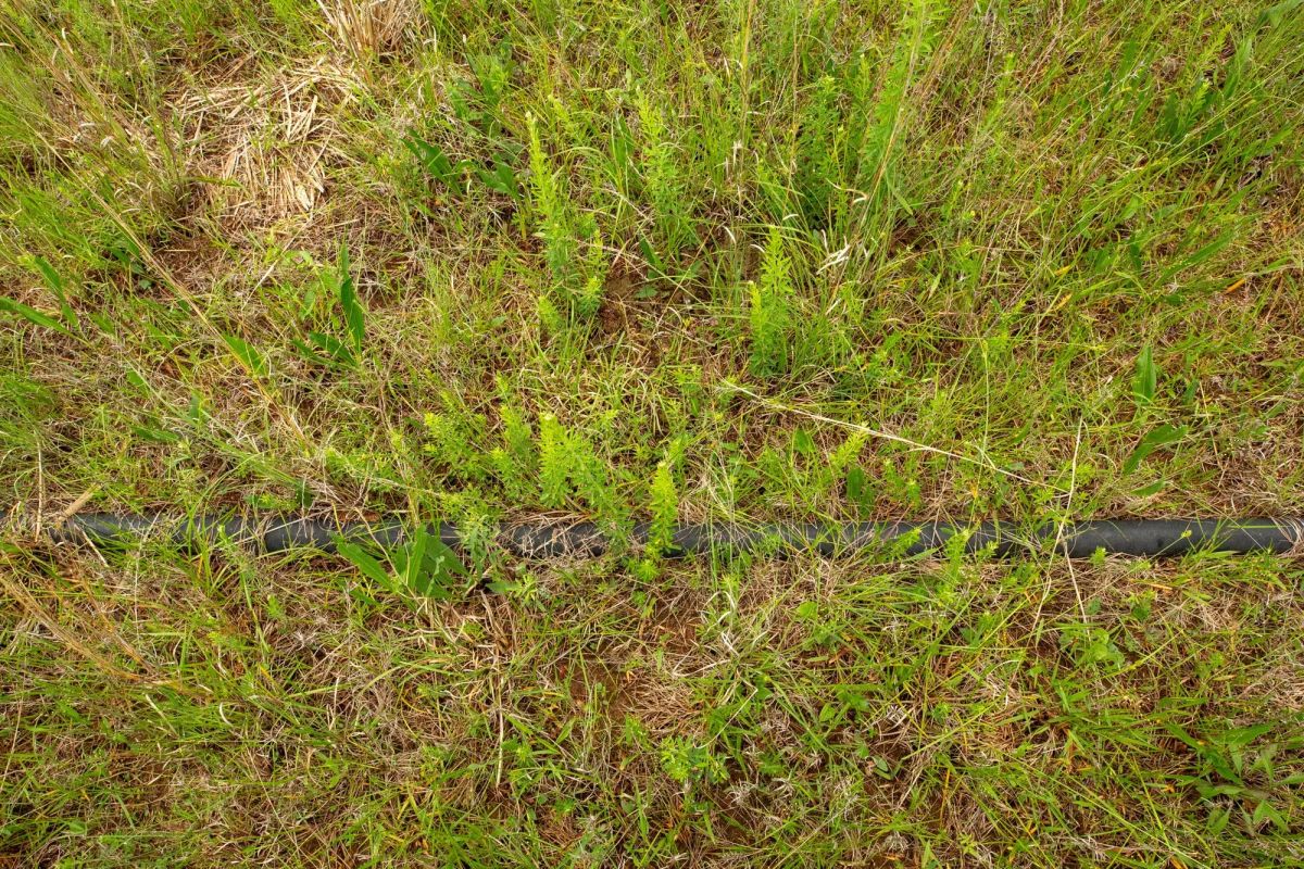 Decorative background for Moonrise Meadows Tract 1 image 28