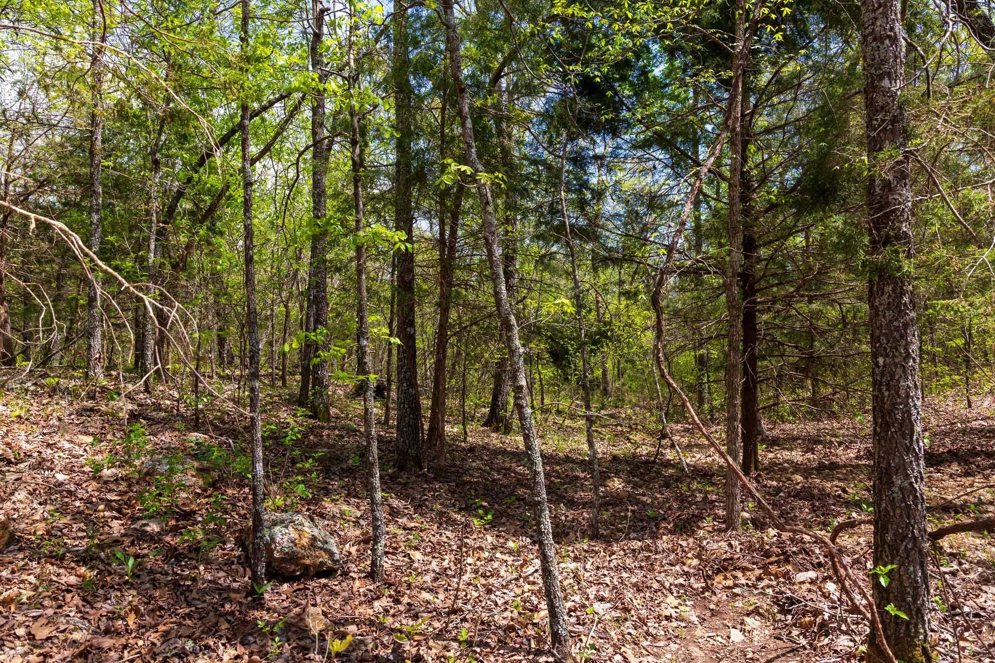 Autumnwood Tract 12 in Fulton County, AR