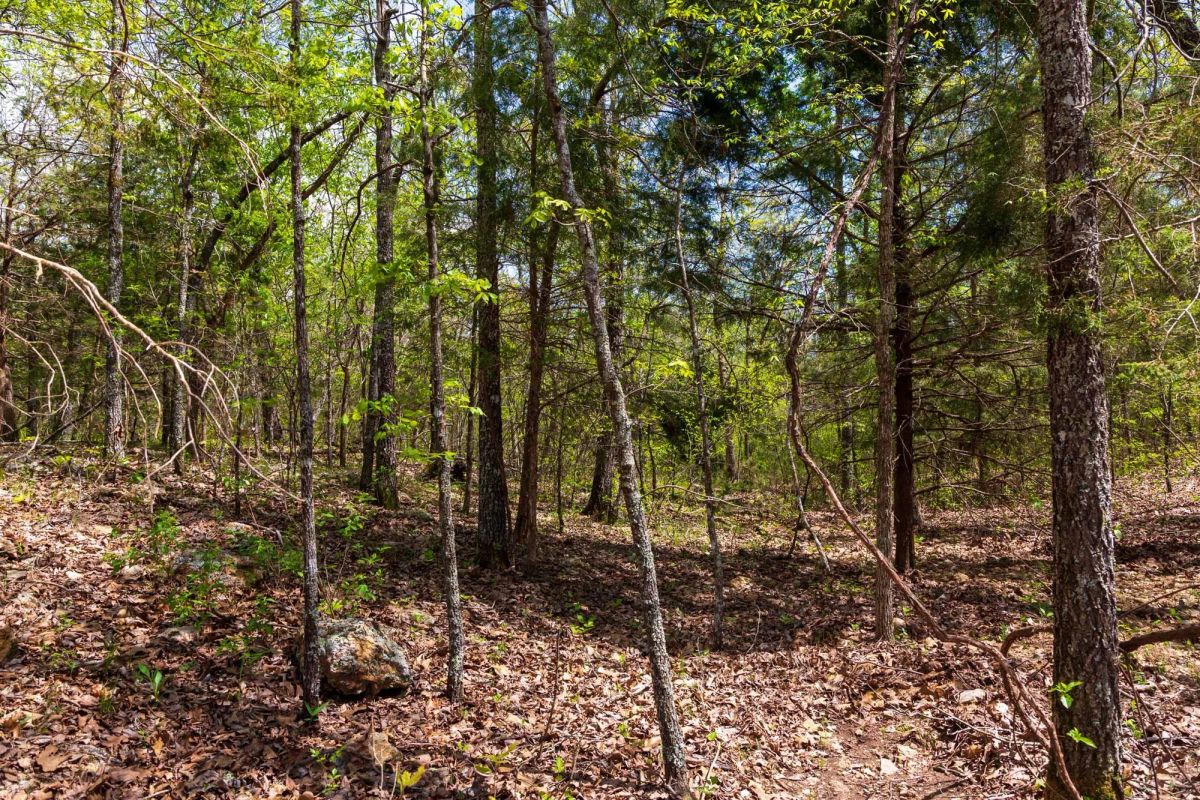 Autumnwood Tract 12 - Main image