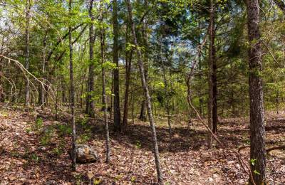 Autumnwood Tract 12