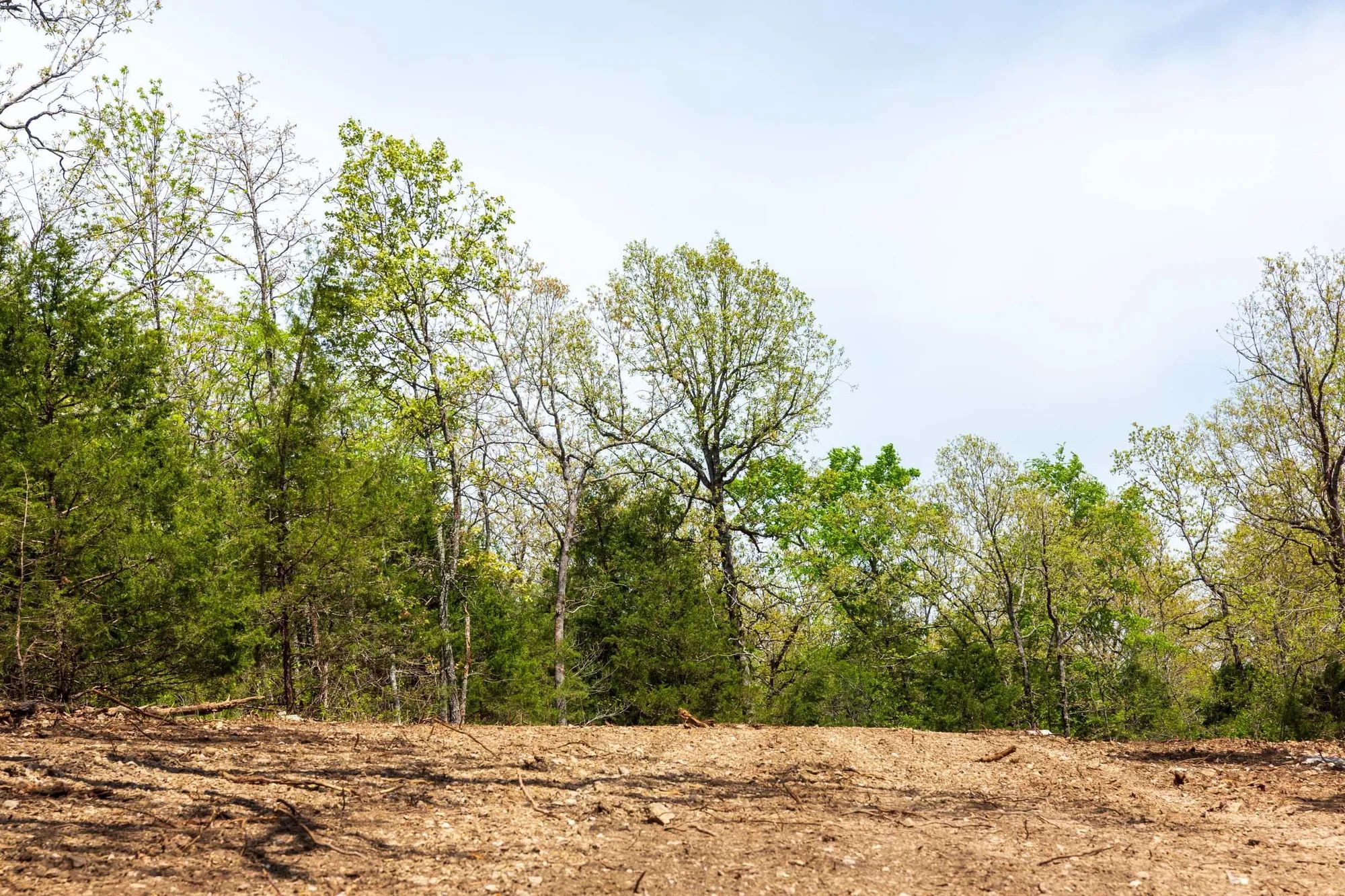 Autumnwood Tract 12 in Fulton County, AR