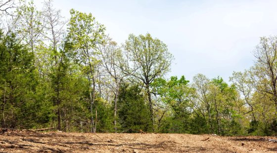 Autumnwood Tract 12 in Fulton County, AR