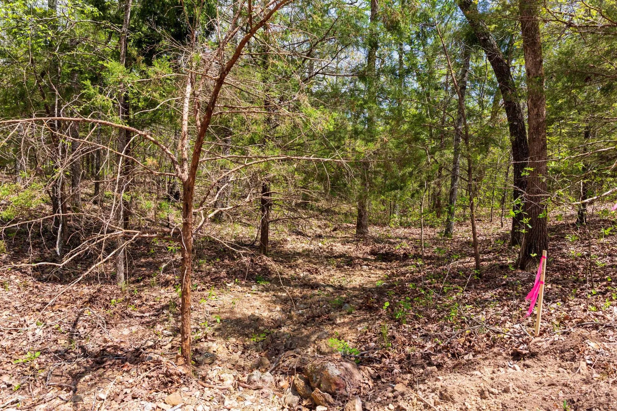 Autumnwood Tract 12 in Fulton County, AR