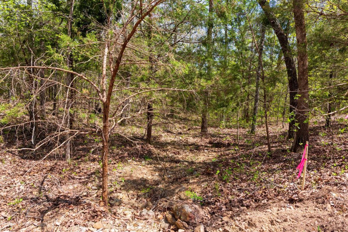 Autumnwood Tract 12 - Image 3
