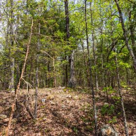 Autumnwood Tract 12 in Fulton County, AR