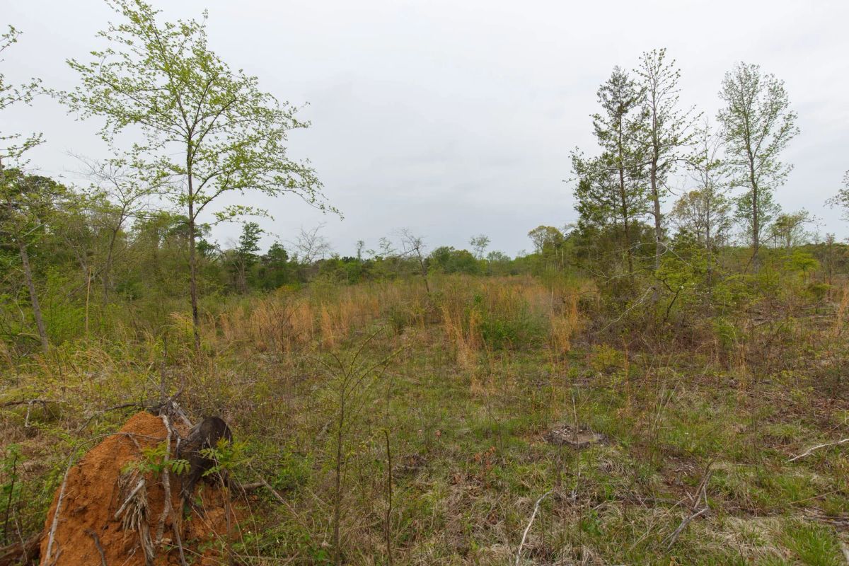Twin Rivers Tract 20 - Main image