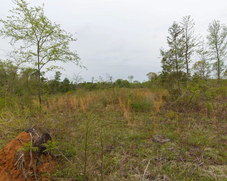 Twin Rivers Tract 20 in Henderson County, TN