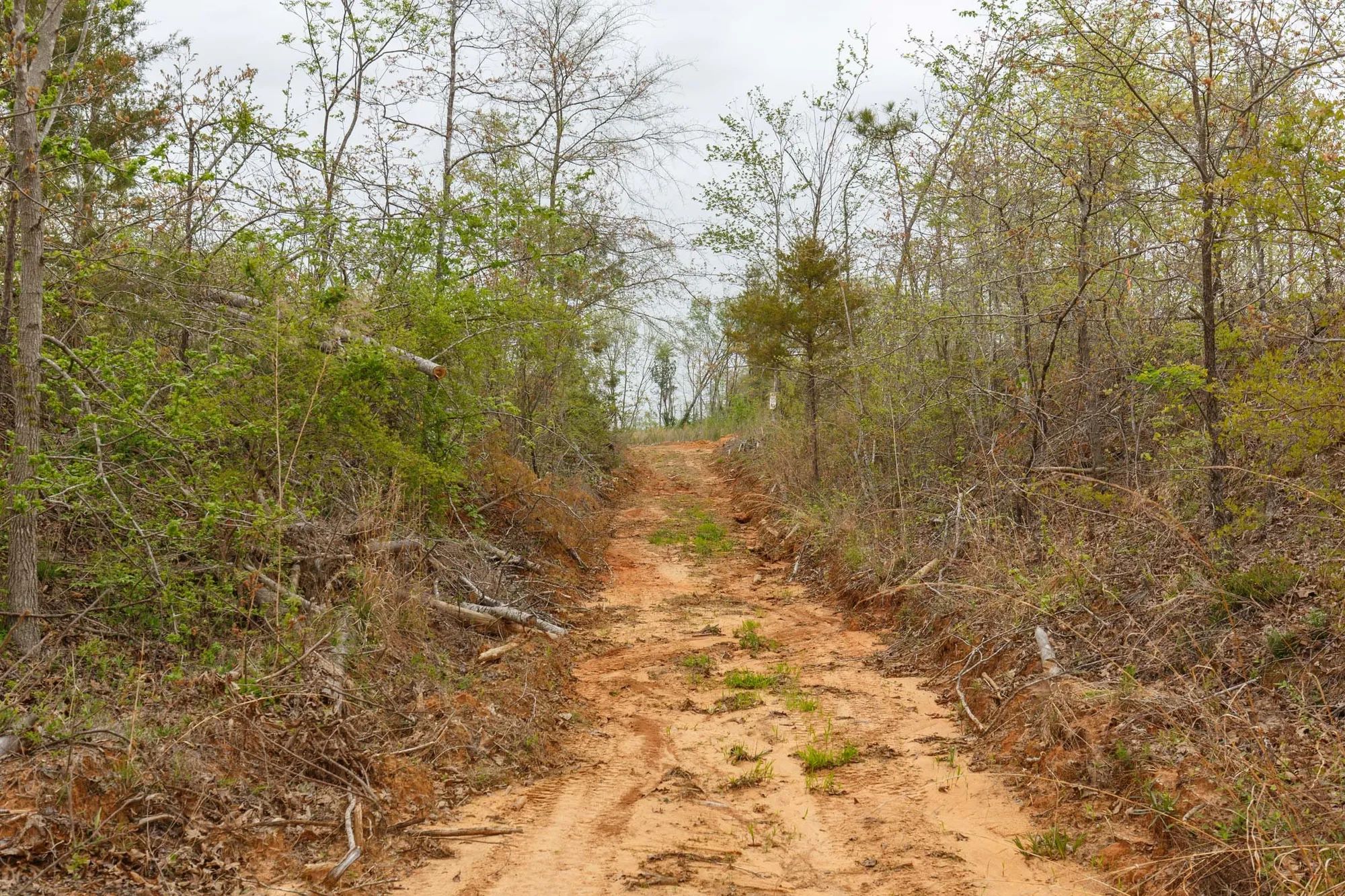 Twin Rivers Tract 20 in Henderson County, TN