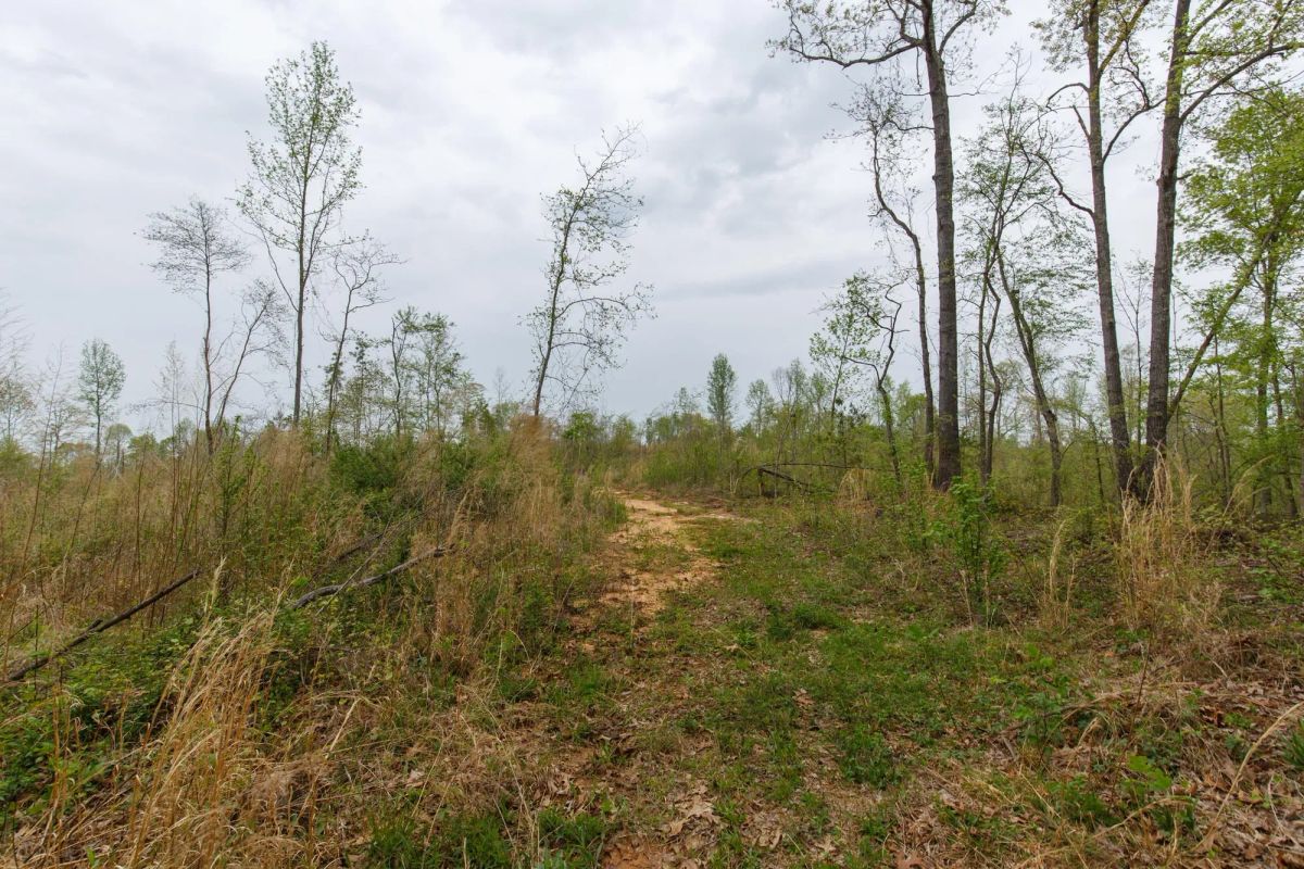 Twin Rivers Tract 20 - Image 3