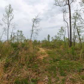 Twin Rivers Tract 20 in Henderson County, TN