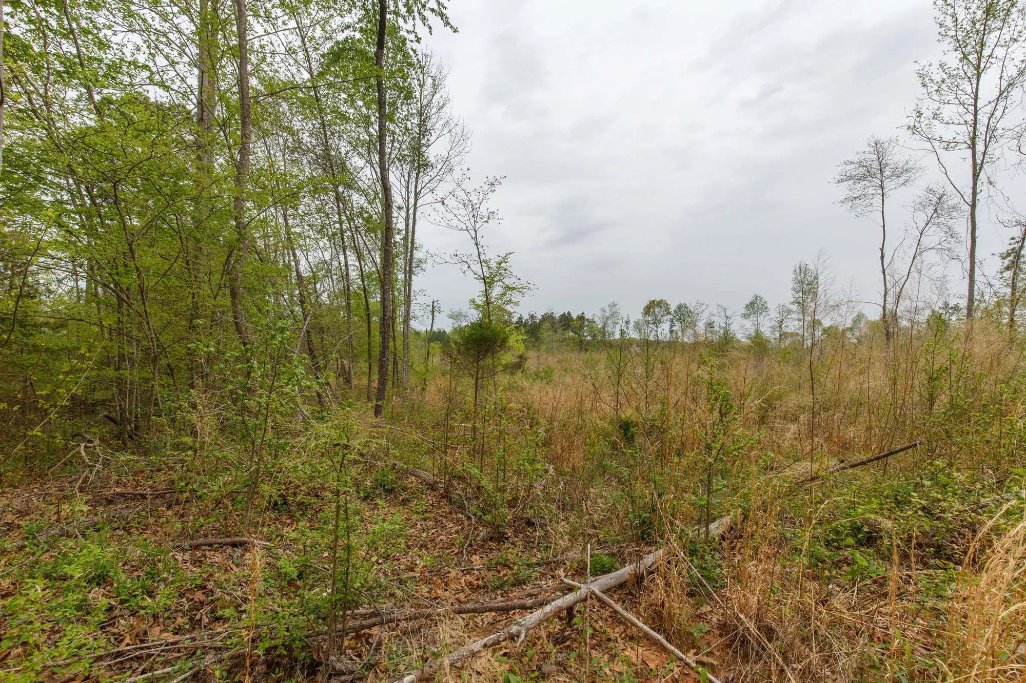 Twin Rivers Tract 20 in Henderson County, TN