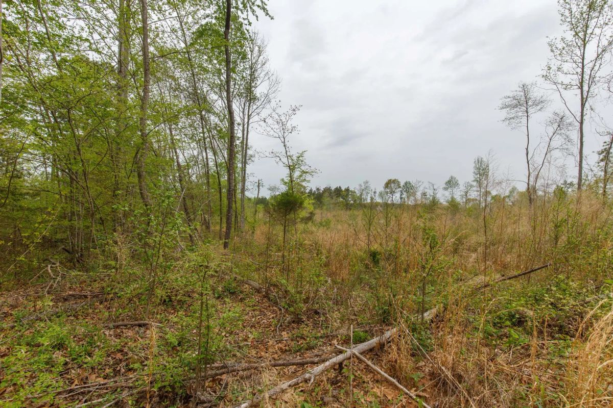 Twin Rivers Tract 20 - Image 4