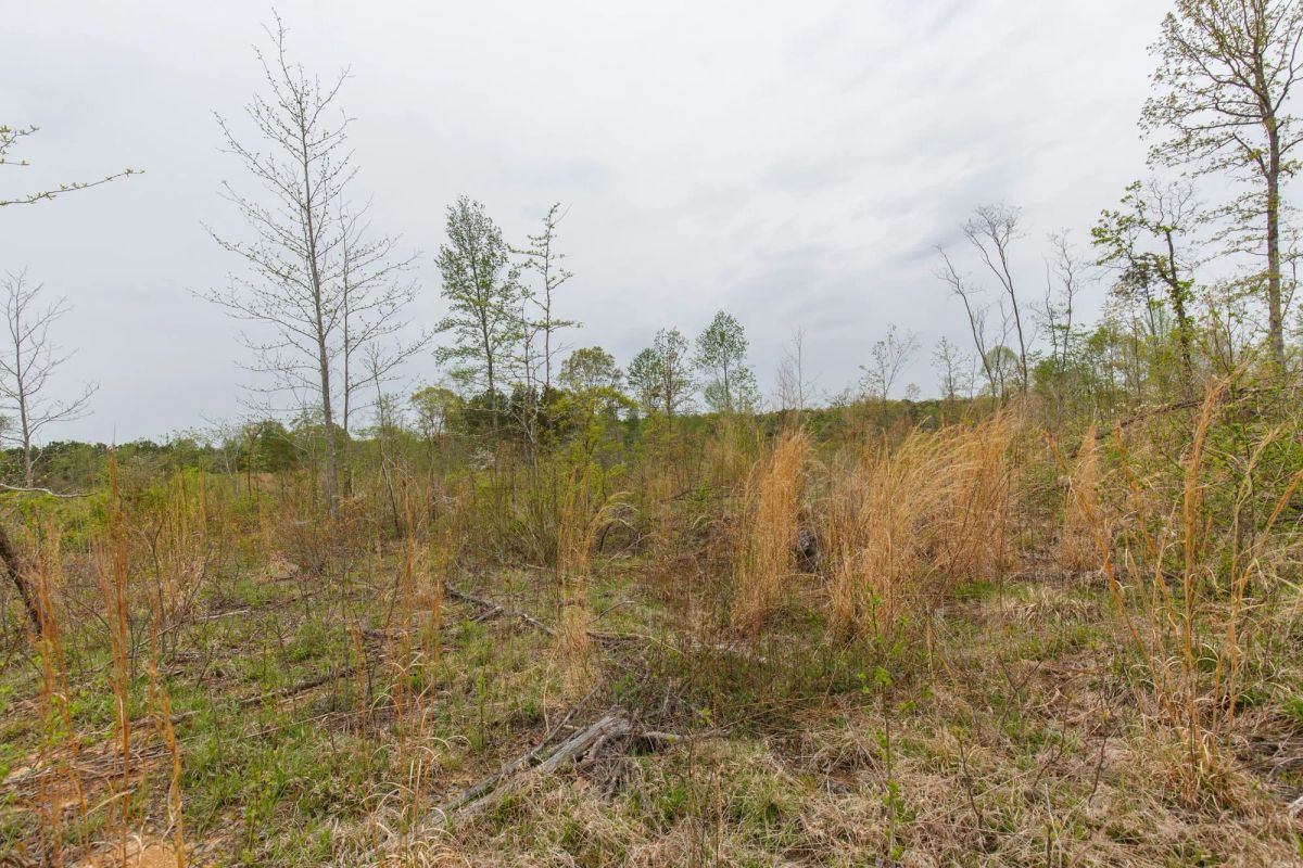 Decorative background for Twin Rivers Tract 20 image 7
