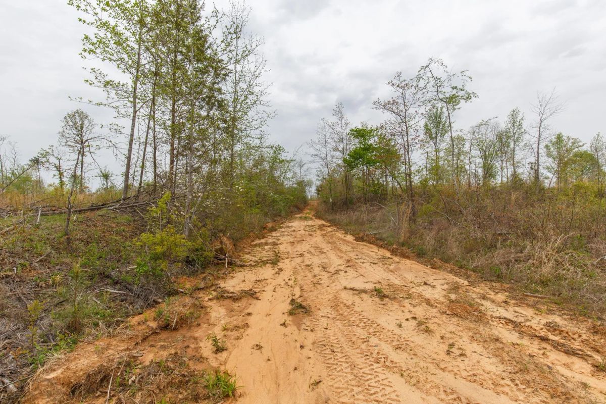Decorative background for Twin Rivers Tract 20 image 8